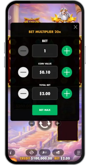 Set your preferred stake size